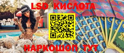 прущие крисы Кандалакша