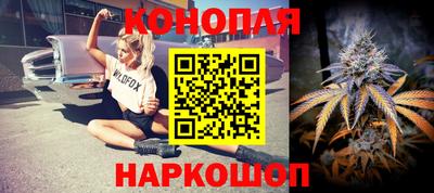 прущие крисы Кандалакша
