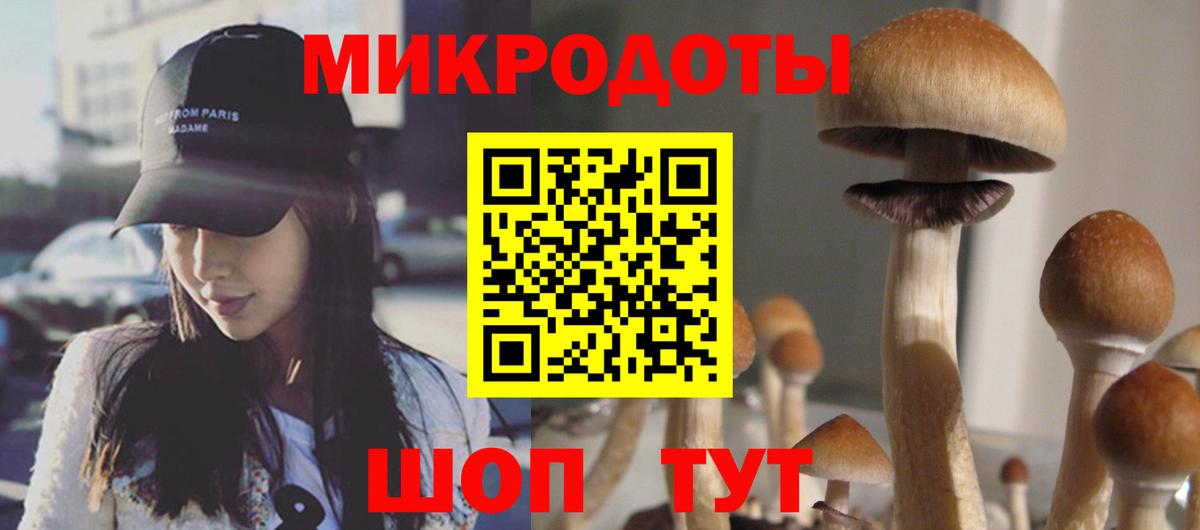 Псилоцибиновые грибы MAGIC MUSHROOMS  Вход с VPN  магазин    Сосновоборск 
